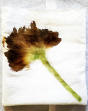 Load image into Gallery viewer, Botanical Fabric Dye &amp; Eco-Prints - Private event package deals
